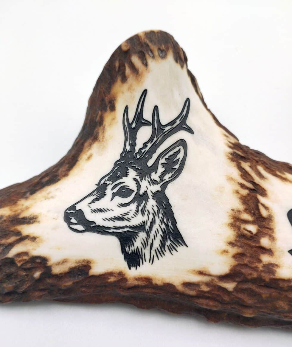 hirschhorn-gravur-gravieren-kaernten-klagenfurt-geschenkidee-jagdgeschenk-jäger-jagdverein