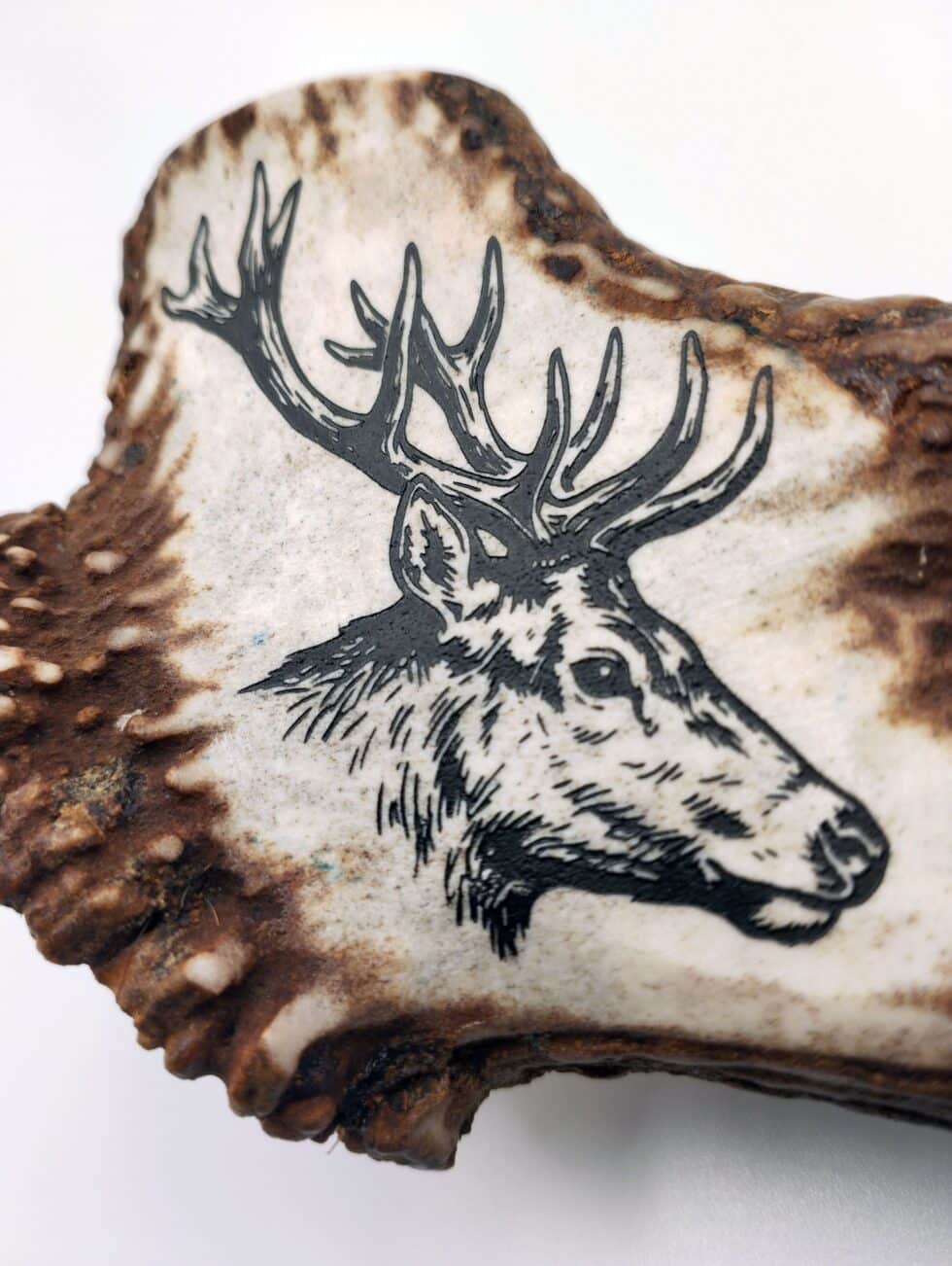 hirschhorn-gravur-gravieren-kaernten-klagenfurt-geschenkidee-jagdgeschenk-jäger-jagdverein